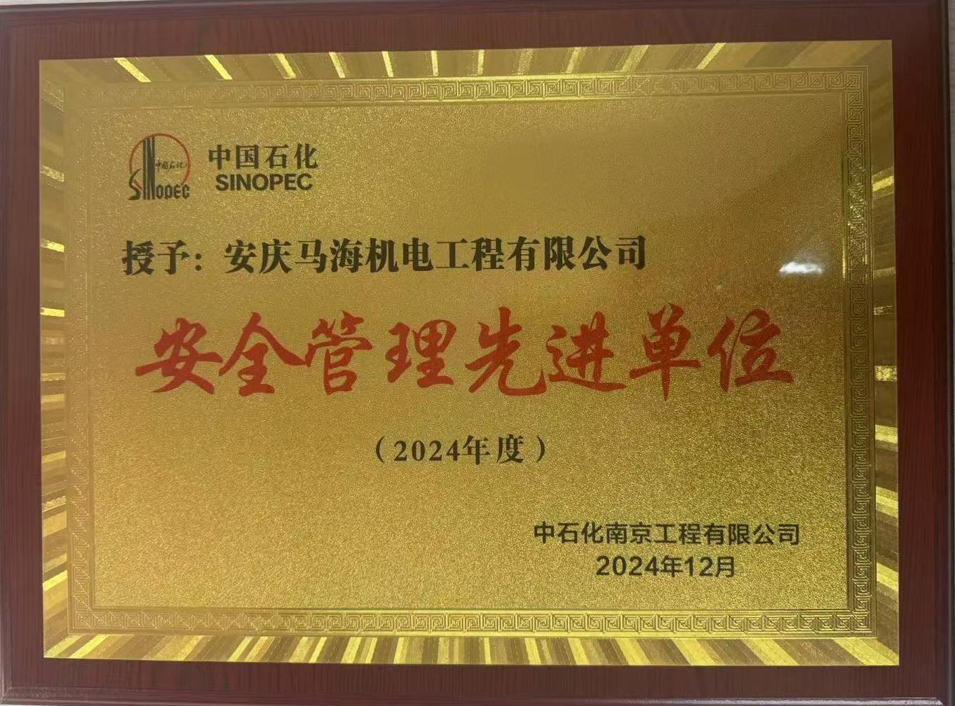 安全管理******单位——中石化南京工程公司